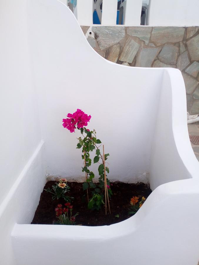 Thea Serifos Livadakia Exterior foto